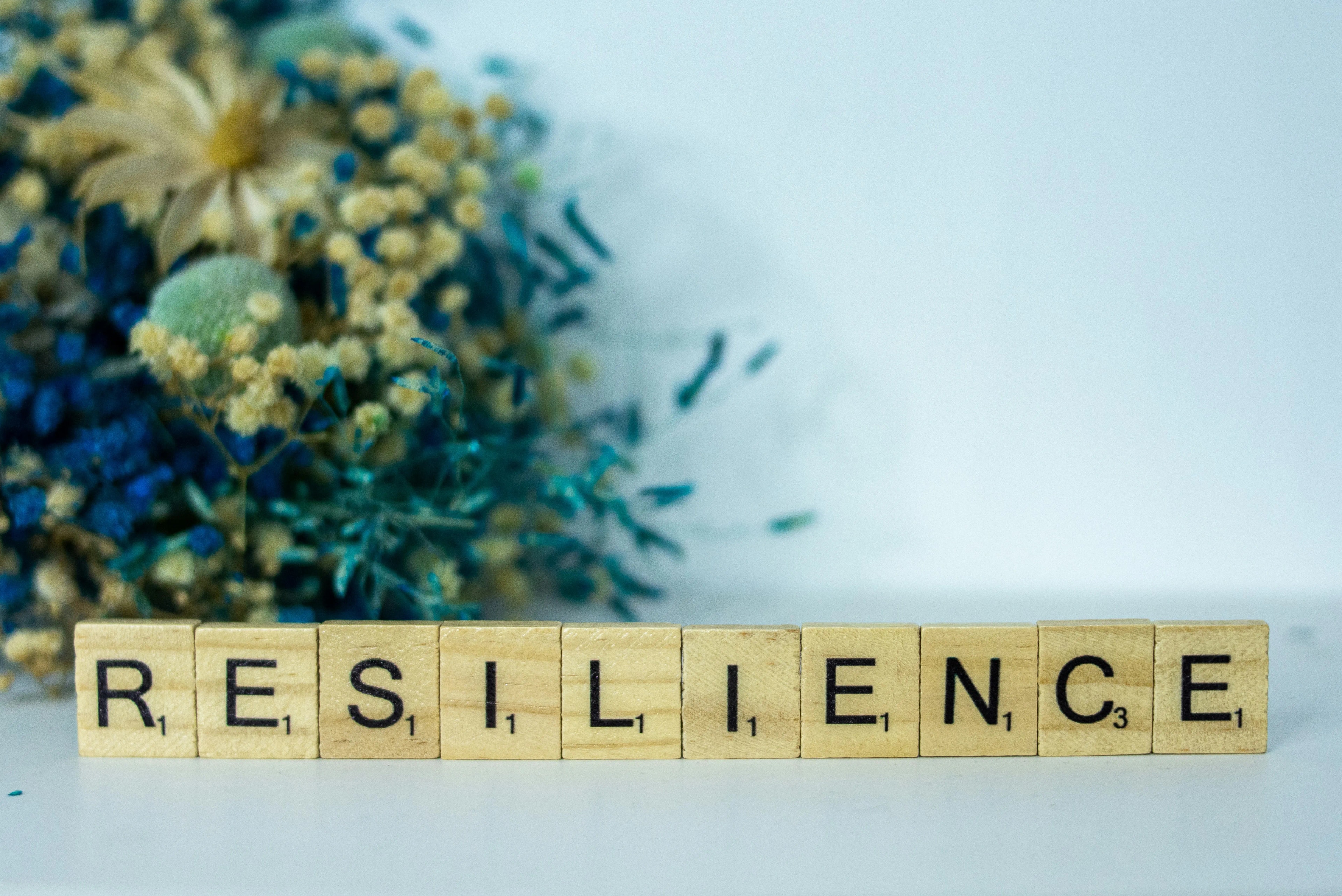 Was kostet eine Ausbildung zum Resilienztrainer